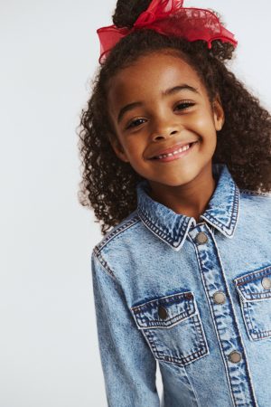 Sasha Long Sleeve Denim Shirt Dress