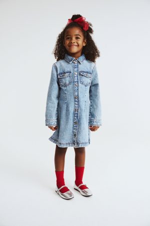 Sasha Long Sleeve Denim Shirt Dress